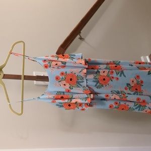 Paper Crown x Rifle Paper Co Dress